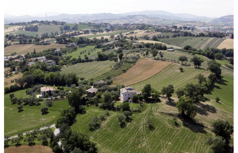 immagine annuncio 2 di 7