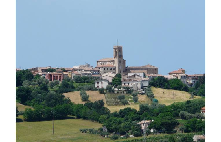 immagine annuncio 6 di 7