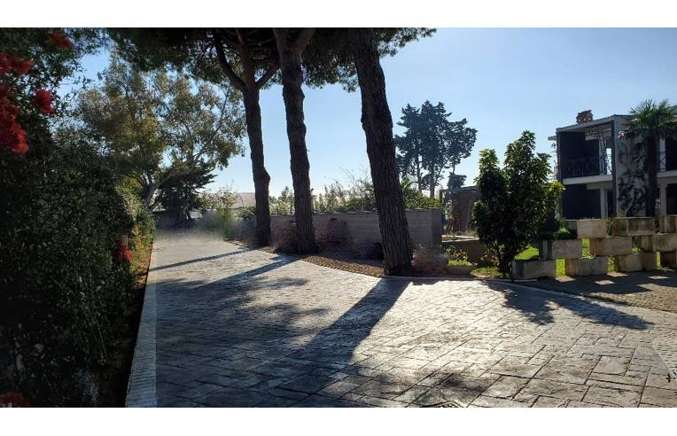 immagine annuncio 3 di 7