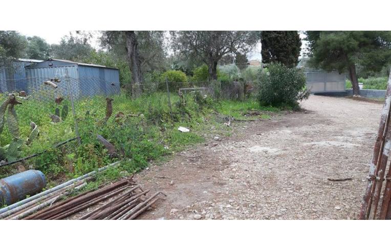 immagine annuncio 3 di 4