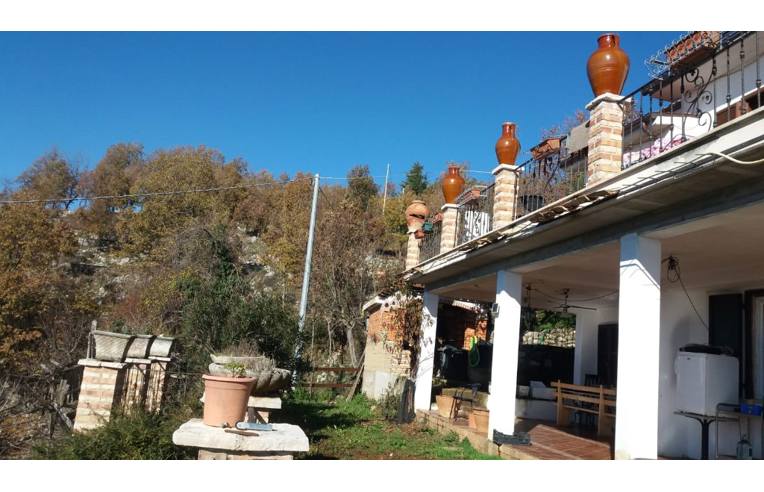 immagine annuncio 3 di 6