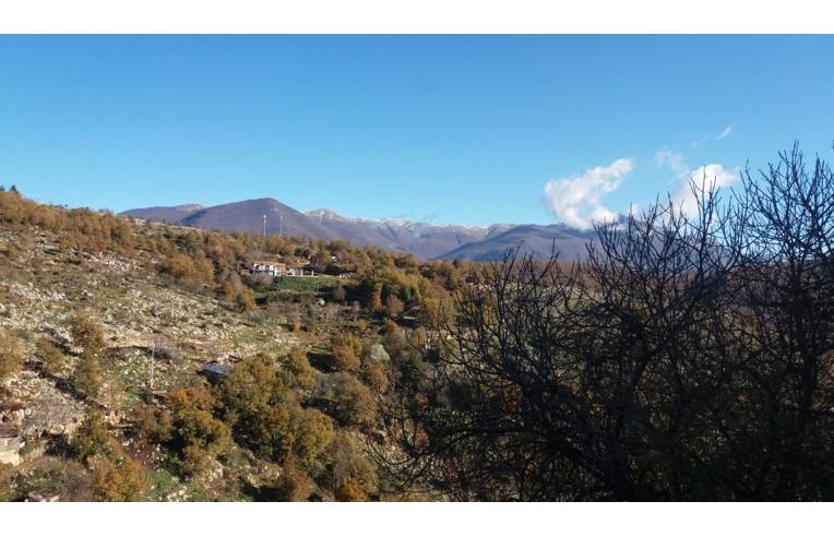 immagine annuncio 2 di 6
