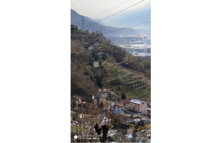 immagine annuncio 5 di 7