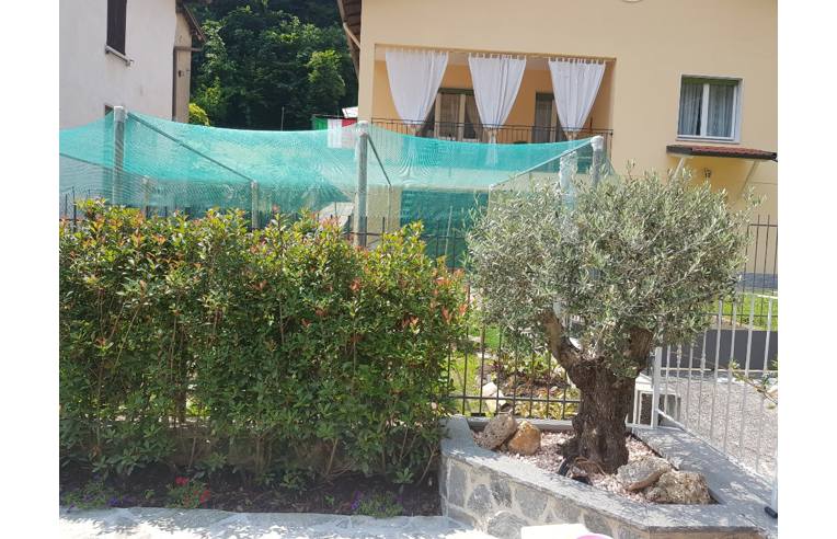immagine annuncio 5 di 7