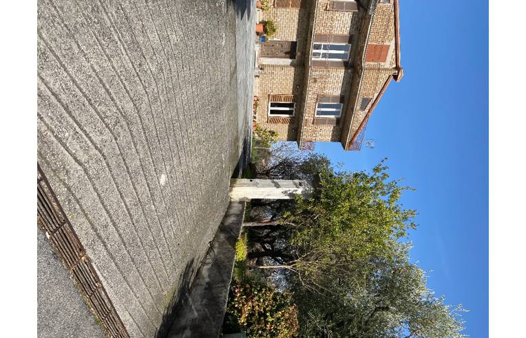 immagine annuncio 2 di 7