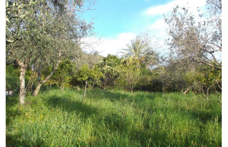 Terreno Agricolo/Coltura in vendita a San Pier Niceto, Strada Provinciale 62 54