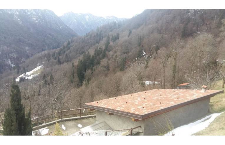 immagine annuncio 2 di 7
