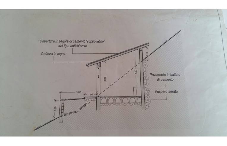 immagine annuncio 5 di 7
