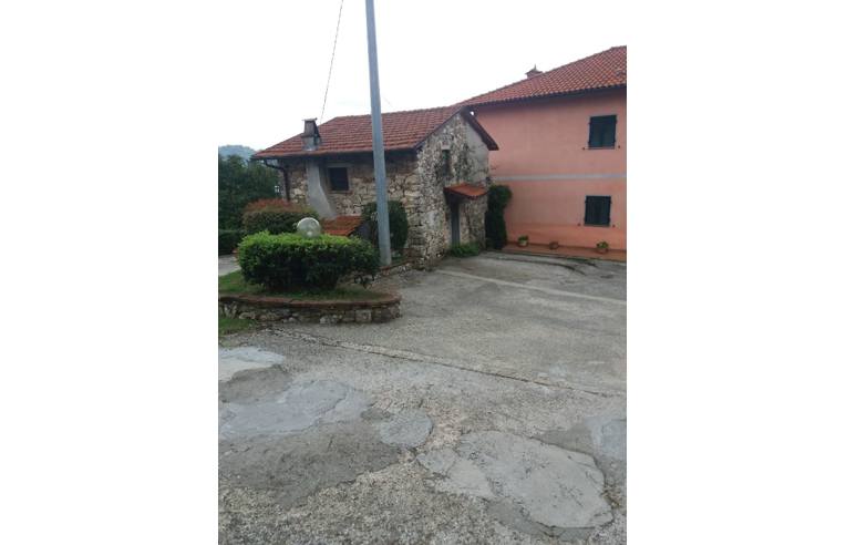 immagine annuncio 3 di 6