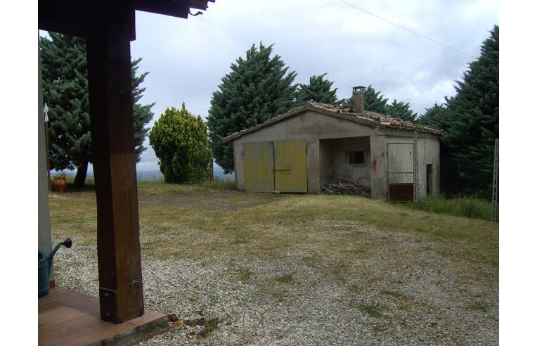 immagine annuncio 5 di 7