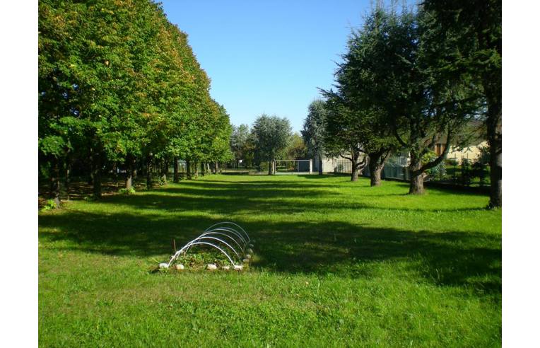 immagine annuncio 1 di 7