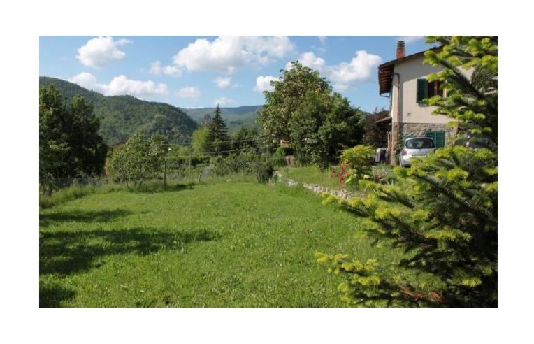 immagine annuncio 4 di 7