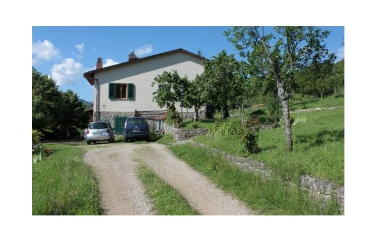 immagine annuncio 3 di 7