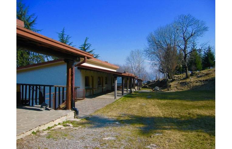 immagine annuncio 2 di 6