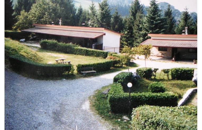 immagine annuncio 1 di 6