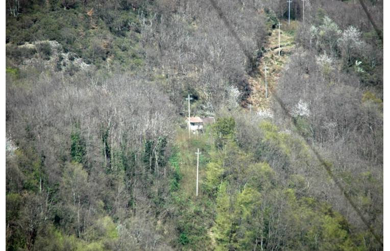 immagine annuncio 2 di 7