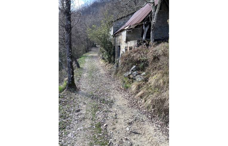 immagine annuncio 4 di 7
