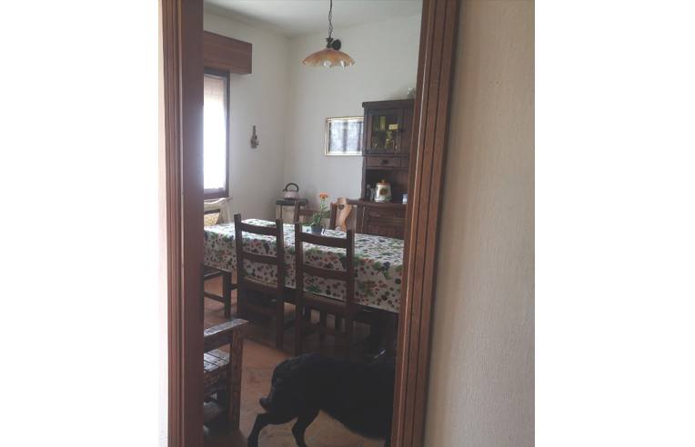 Foto 2 - Casa indipendente in Vendita da Privato - Codigoro, Frazione Mezzogoro