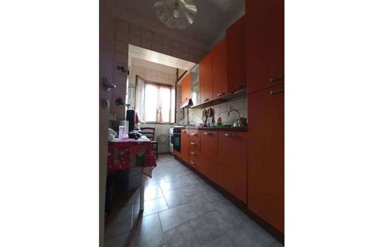 immagine annuncio 4 di 7