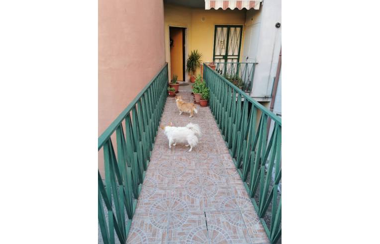 Foto 6 - Villetta a schiera in Vendita da Privato - Benevento (Benevento)