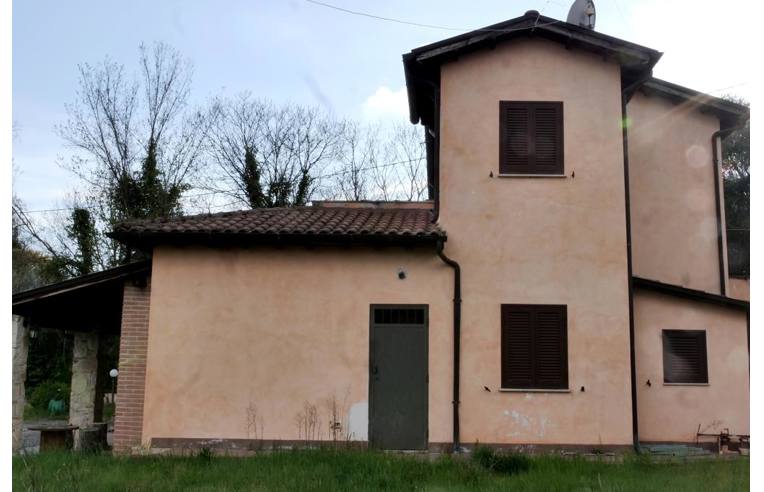 immagine annuncio 6 di 7