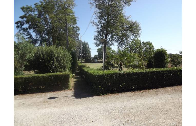 immagine annuncio 5 di 7