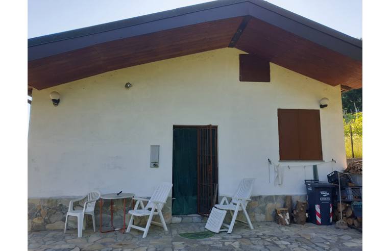 immagine annuncio 4 di 7