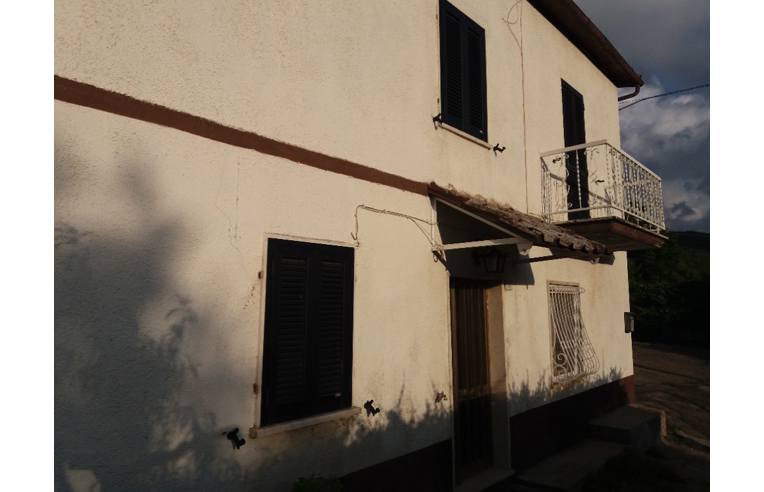 Foto 3 - Rustico/Casale in Vendita da Privato - Guardea, Frazione Cocciano