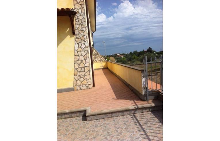 immagine annuncio 2 di 6