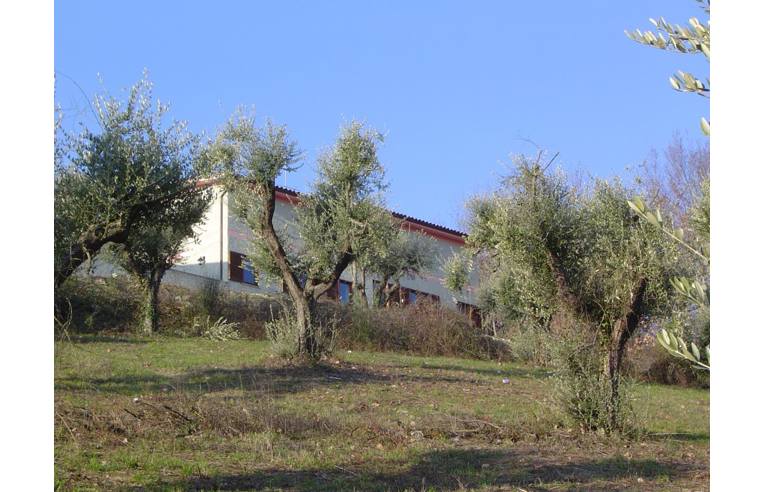 Azienda Agricola in vendita a Capena