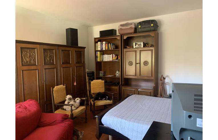 immagine annuncio 5 di 7