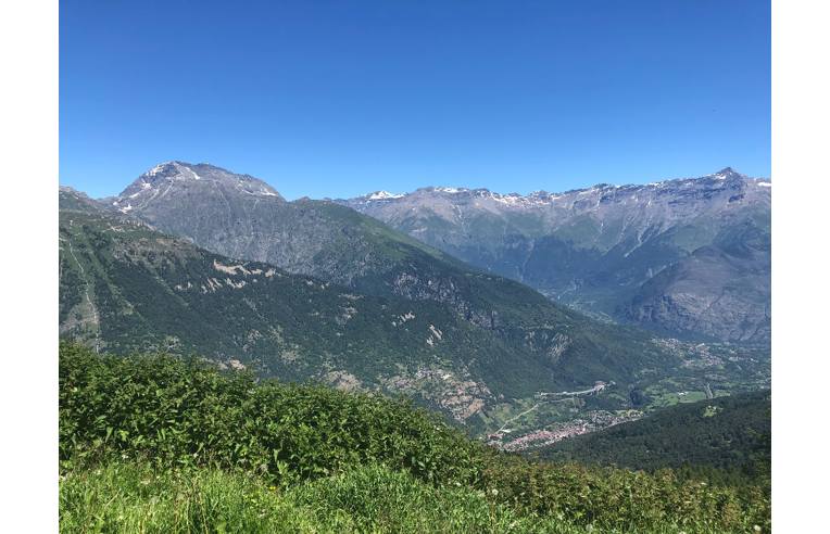 immagine annuncio 4 di 7