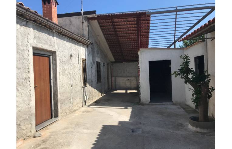 immagine annuncio 5 di 6