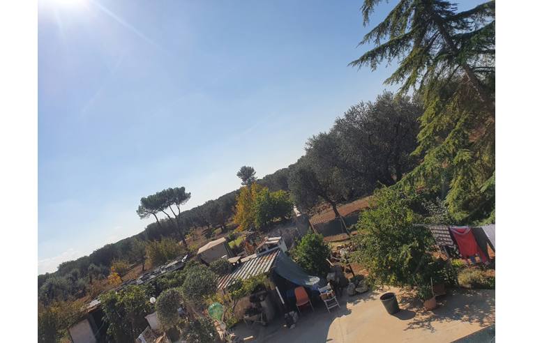 immagine annuncio 3 di 7