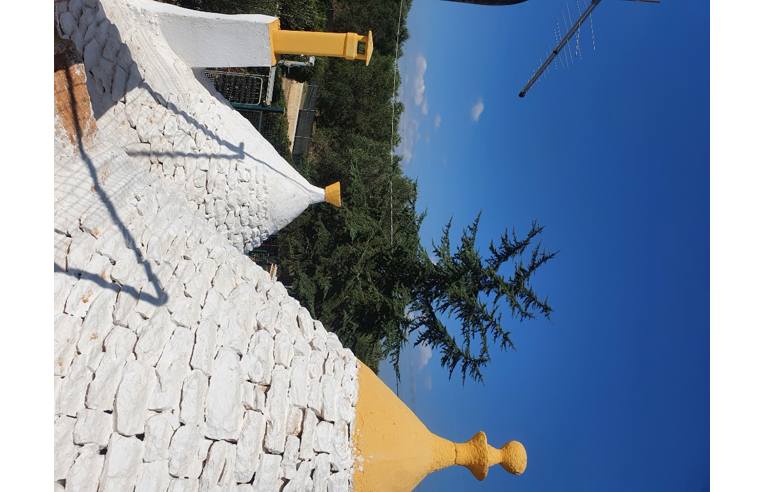 immagine annuncio 1 di 7