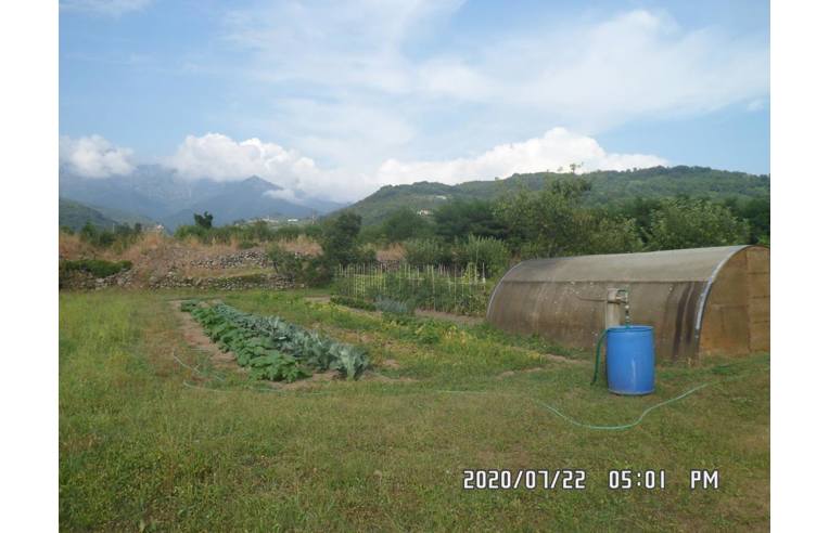 immagine annuncio 4 di 7