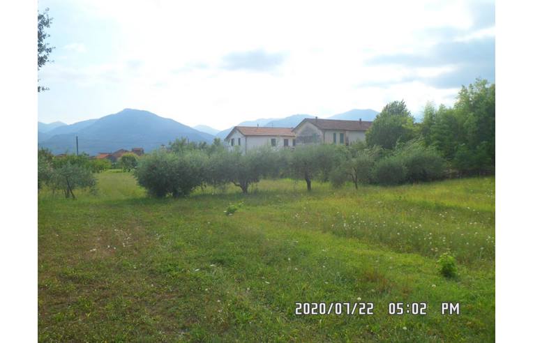 immagine annuncio 3 di 7