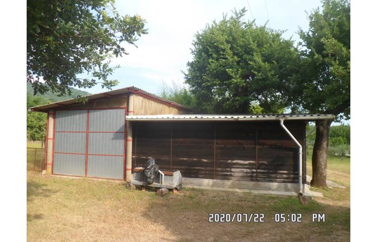 immagine annuncio 6 di 7