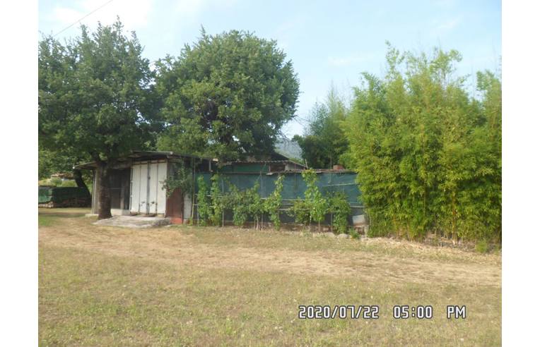 immagine annuncio 5 di 7