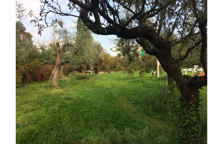 immagine annuncio 5 di 6