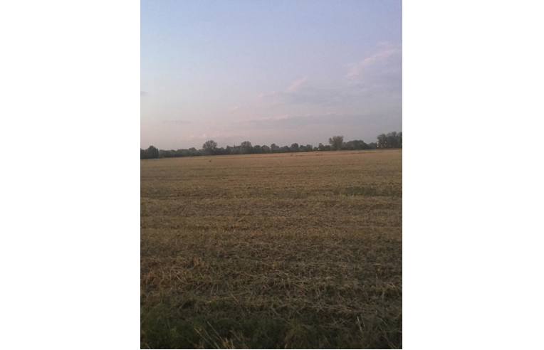 Terreno Agricolo/Coltura in vendita a Gonzaga, Frazione Palidano