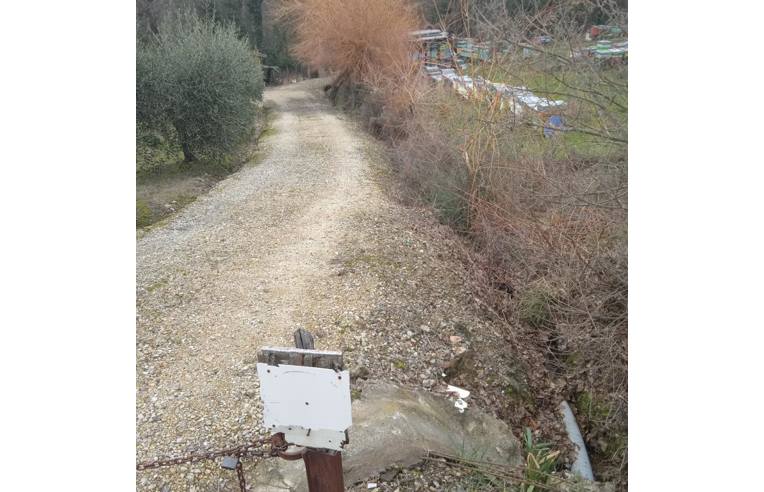 immagine annuncio 4 di 7