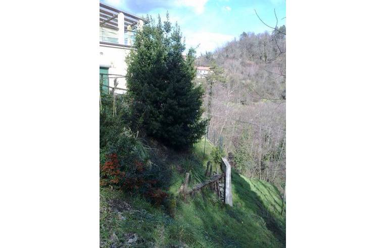 immagine annuncio 4 di 7