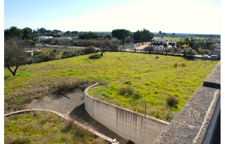 immagine annuncio 4 di 6
