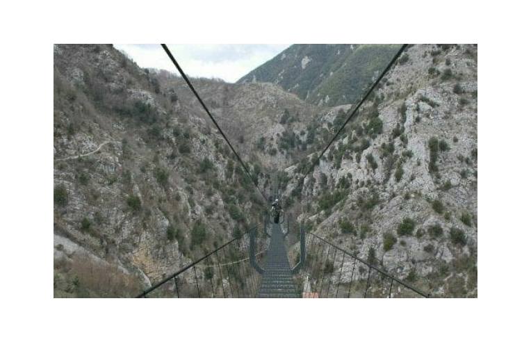 immagine annuncio 6 di 7
