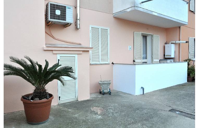 immagine annuncio 4 di 7