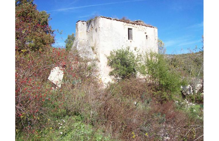 immagine annuncio 2 di 7