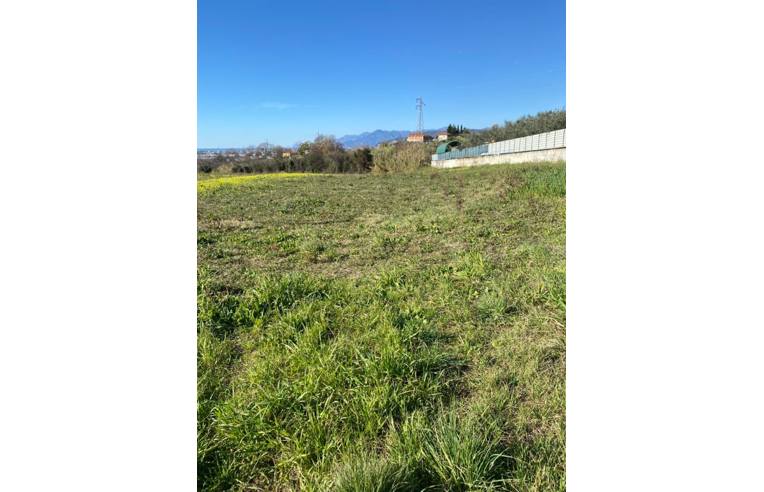 Terreno Agricolo/Coltura in vendita a Montecorvino Pugliano, Frazione San Vito, Strada Comunale dello Statuto 60