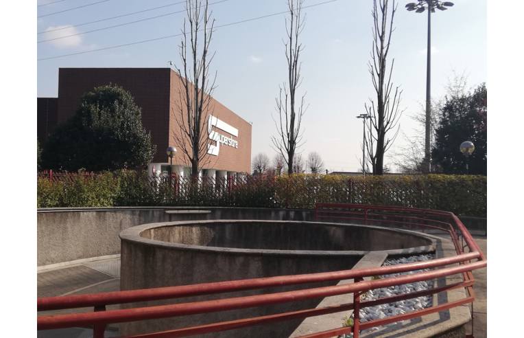 immagine annuncio 3 di 6