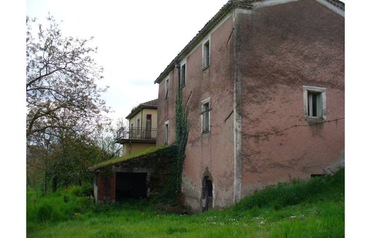 immagine annuncio 4 di 7